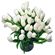 White Tulips. Tulips are delicated and refined flowers that symbolize spring and romance. They are ususally available since February till April. At other times during the year their stock may be limited.. Antalya