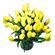 Yellow Tulips. Tulips are delicated and refined flowers that symbolize spring and romance. They are ususally available since February till April. At other times during the year their stock may be limited.. Antalya