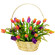 Spring rainbow. Classic spirng flower arrangement of mixed color tulips in a basket.. Antalya